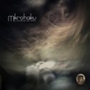 Mikrohaiku - Fluyer (Original Mix)