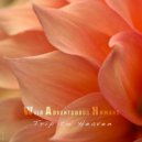 W.A.H. - Half Moon (Original)