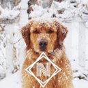 Harrison Storm - The Words You Say