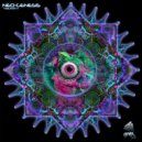 Stereo Space - Northern Lights