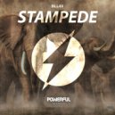BLL4X - Stampede