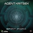 Agent Kritsek - Spirit Form (Original Mix)