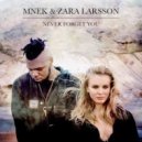 MNEK feat. Zara Larsson - Never Forget You