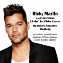 Ricky Martin & ART-BROTHERS - Livin' la Vida Loca