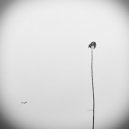 Finnebassen - Vi Nå (Original Mix)