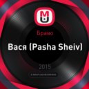 Браво - Вася (Pasha Sheiv Cover) (Pasha Sheiv)