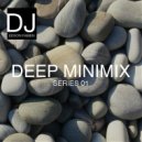 DJ Edson Fabien - Deep Minimix Series 01 ()