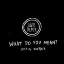 Justin Bieber - What Do You Mean (Savid Remix)