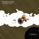 Transcient - We Are The Same