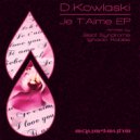 D.Kowalski - Running To The Spring (Original Mix)
