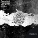 Transcient, Meloder - We Are The Same (Meloder Remix)