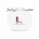 Twilight Meadow - The Worlds We Discovered (Matthew Parker Remix)