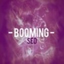 Sed - Booming
