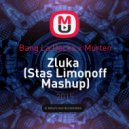 Bang La Decks x Morten - Zluka