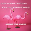 Oliver Heldens & David Zowie - House Every Weekend Flamingo (Armand Cold Mashup)