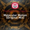The Event Horizon Project - Molecular Motion