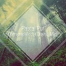 Pascal Pur - Changing Minds
