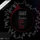 Calvin Harris feat. Disciples - How Deep Is Your Love