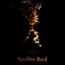 Spoken Bird - Hold On (Original mix)