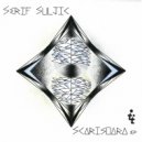 Serif Suljic - Iaia
