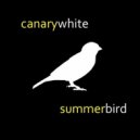 CanaryWhite - Summer Bird