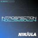 Ninjula - Left Behind