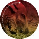 Red Pig Flower - Secret Spell