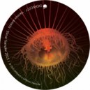 Rob Chiriqui - Don't
