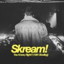 Skream - You Know, Right?