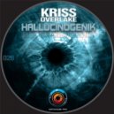 Kriss Overlake - System Overload (Original Mix)