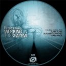 Elektrikall - Working In The Shadow (Original Mix)