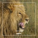 Imanol Molina - On the Floor