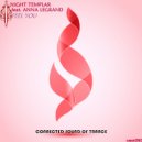Night Templar - Feel You