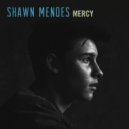 Shawn Mendes - Mercy (Scott Allen Bootleg)