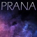 Arctide - Prana