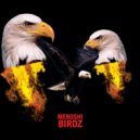 Meroshi - Birdz (Original Mix)