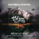 Ellin Spring & Monoteq - Break My Heart (Elektromekanik Remix)