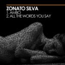 Zonato Silva - All The Words You Say