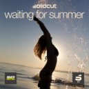 Solidcut - Sign (Original Mix)