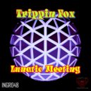 Trippin Fox - Wicked Resolution
