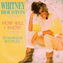 Whitney Houston - How Will I Know