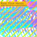 Bobby Trenton - Raise Your Hands