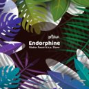 Stefan Faust a.k.a. Zorro - Schizophren (Original mix)