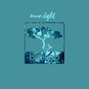 Play & Music - Moon Light (Original Mix)