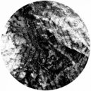 NoAir - Distress And Calling (Original Mix)