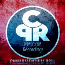Steve C - Vengeance (Original Mix)