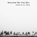 Dj Virus - Walking On The Sky (Original Mix)
