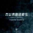 Barely Royal - Numbers (Turno Remix) ()