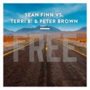 Sean Finn vs. Terri B! & Peter Brown - Free (Jay Frog Remix) (Original Mix)