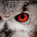 Valentin Pascual - Happiness (Original Mix)